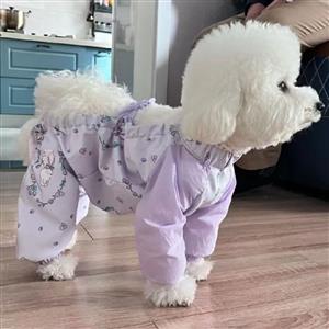  pet clothes
